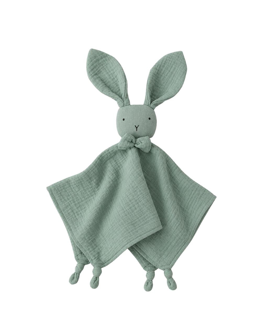 Baby Bunny Lovey