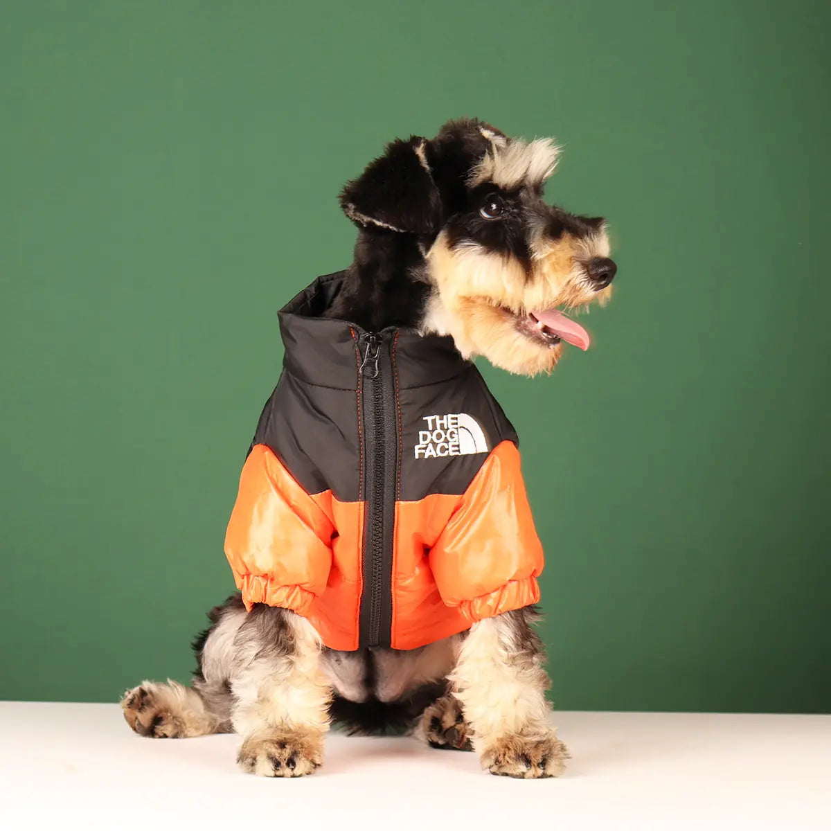 Windproof Reflective Dog Jacket