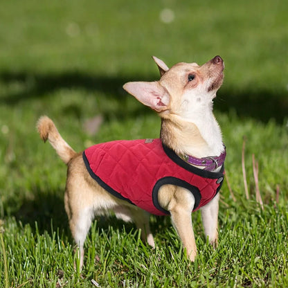 Winter Dog Coat Jacket